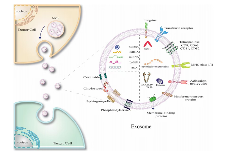 5e3b5fc834ccfa1a49290c7566def434.png 5e3b5fc834ccfa1a49290c7566def434.png