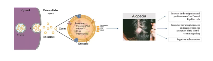 fb1959c4564d8d5091ef7bbcbf842e6c.png fb1959c4564d8d5091ef7bbcbf842e6c.png